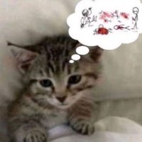 nalim (@nalimboi) 's Twitter Profile Photo nalim (@nalimboi) 's Twitter Profile Photo