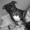 Jo Ambrose - @JoJoNip - Twitter