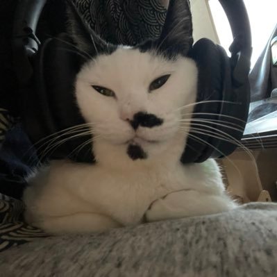 ppung91766147's profile picture. 