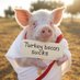 Worship The Pig (@worshipthepig) Twitter profile photo Worship The Pig (@worshipthepig) Twitter profile photo