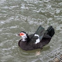 caffiend7676 (@outofcoffee) 's Twitter Profile