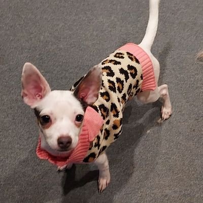 ReneeSmith8867's profile picture. 