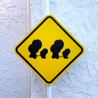 mmm_abroad's profile picture. 98(97)🐣2025.4〜YMSビザでイギリス渡航中🇬🇧