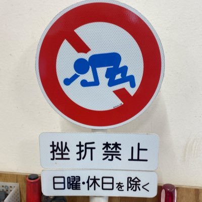 爬虫類、ビーシュリンプ、デュビア、昆虫飼育、繁殖、販売をしております。今後取り扱いの幅を広げて行きますのでよろしくお願い致します🙇 動物取扱業 県第2517号。食リポ活動もやってますw