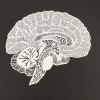 TheNeuro (@neuneurox) 's Twitter Profile Photo TheNeuro (@neuneurox) 's Twitter Profile Photo