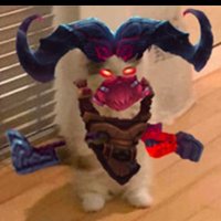 Makkor ๐๐จIn Korea ๐ฐ๐ท (@makkrolol) 's Twitter Profile Photo Makkor ๐๐จIn Korea ๐ฐ๐ท (@makkrolol) 's Twitter Profile Photo