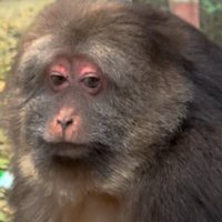 Hegel (@burgunderbube) Twitter profile photo