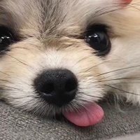 ゆうわ (@y_frsport) Twitter profile photo