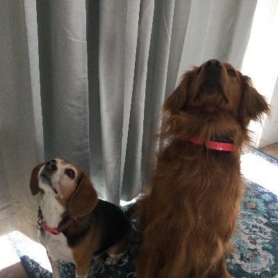 Rahamrod's profile picture. 