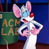 Pinky y Cerebro (@pinkyconquista) 's Twitter Profile Photo