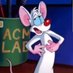 Pinky y Cerebro (@pinkyconquista) Twitter profile photo Pinky y Cerebro (@pinkyconquista) Twitter profile photo