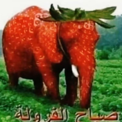slowstroker24's profile picture. Mr. put it on