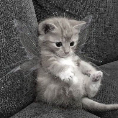 kledoll_'s profile picture. 