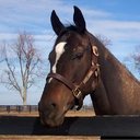 Jill Mabry - @jmm924 - Twitter