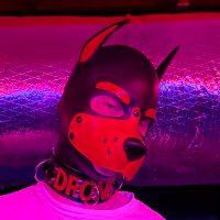 Pup Whiskey (@pupwhiskey_) 's Twitter Profile