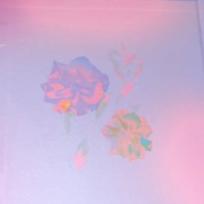 prettynliving's profile picture. whole bunch of typos