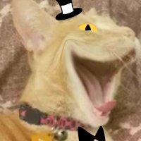 🌘 Lunar Crystal Draws💎 (@lunarcrystalart) 's Twitter Profile Photo 🌘 Lunar Crystal Draws💎 (@lunarcrystalart) 's Twitter Profile Photo