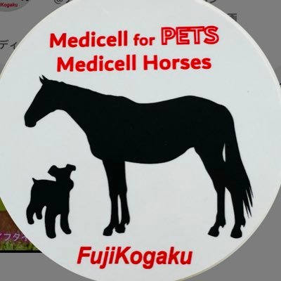 oumaporo's profile picture. メディセルケアとは吸引式の筋膜リリースです。痛みはありません🐴🐶🐱のリカバリーや怪我の予防、健全な育成をサポートします。体験施術をご希望の方はDMにてお待ちしております😊 https://t.co/MCve2SrBAo