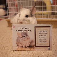 みつば (@fwkohev9u163929) 's Twitter Profile