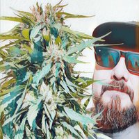 StoneyBoy (@beakbuster_23) 's Twitter Profile Photo