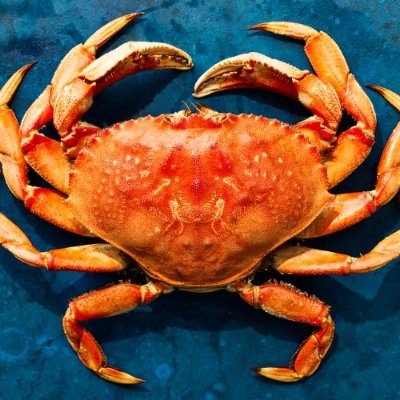 Remix_T0x1c's profile picture. (Insert Inspirational Crap Here)
#BurnBlue
21