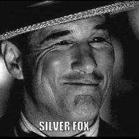 The Silver Fox (@silverfoxxam) 's Twitter Profile