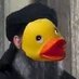 x- Duck_You72 (@duck_you72) Twitter profile photo x- Duck_You72 (@duck_you72) Twitter profile photo