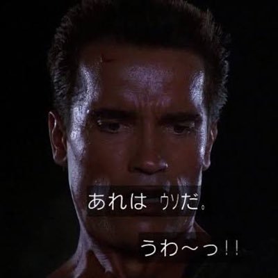 y_tonayeee's profile picture. 