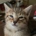 Libby (@libbylou1963) Twitter profile photo Libby (@libbylou1963) Twitter profile photo