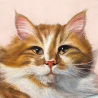 Eva Boy (@kedyeva) 's Twitter Profile Photo