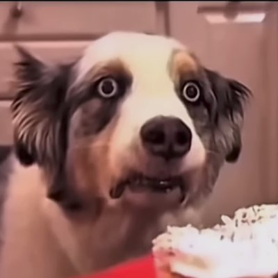 @trash_wow