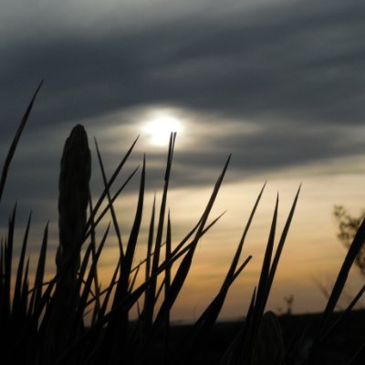 blueyezz7546's profile picture. 
