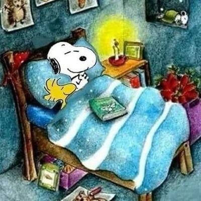 Yorkie_yo's profile picture. 🏴 人権を守ろう
#永住権取り消し反対