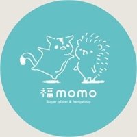 福momo (@cafe_fukumomo) Twitter profile photo