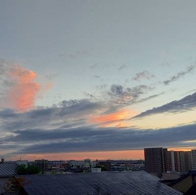 rscl_study's profile picture. 