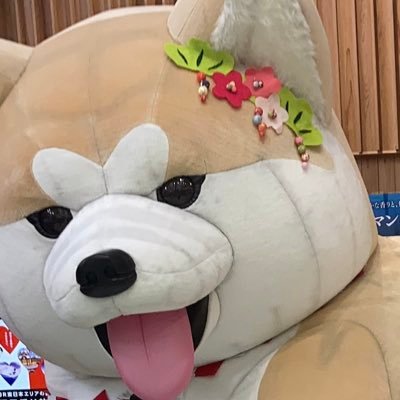 Poohrcyo's profile picture. ハム🐹ファン