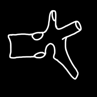 vertebralbody's profile picture. 地方国立医5年|ポリクリ|QAssist|ゴルフ