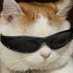 aric (@veerapat476728) Twitter profile photo