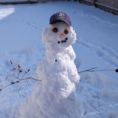 BigBBrown's profile picture. My mom's cat will always be my header picture.