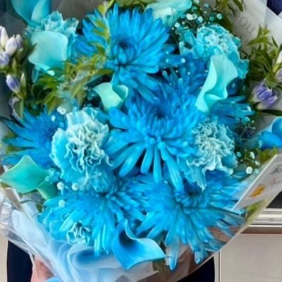 25↑/取引経験多数有/交換いただいた物を再交換に出す場合がありますのでご了承ください/お返事が遅くなる場合もありますが、お断りする際も必ずご連絡いたします/🌱👑(他コンプ目的等)/🥟🦙🐿🐥