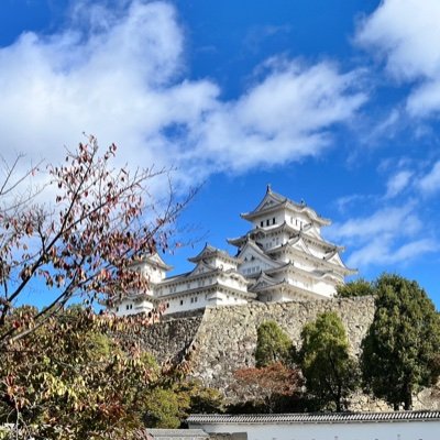 LsQflOjZvx25614's profile picture. 城好き
Amazonアソシエイト参加中