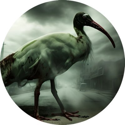 BINNYibis's profile picture. $BINNY the evil Bin Chicken