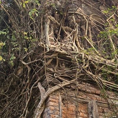 MrRoman27's profile picture. 