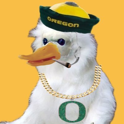 Rizzy Duck🦆 Profile