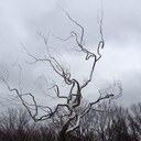 Michael O'Brien - @MrMichaelOBrien - Twitter