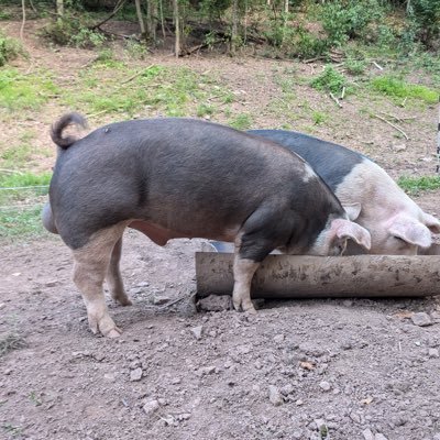 andrewrh1994's profile picture. 