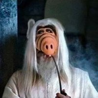Vegandalf (@gus_the_newfi) Twitter profile photo
