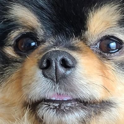 nivebee07's profile picture. 