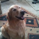 Freddy & Jan Penny - @fcp4fam - Twitter