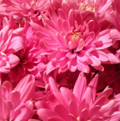 jshay17's profile picture. 